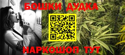 стаф Краснодар