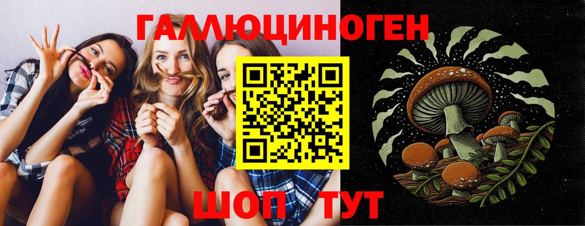 Дубна  Галлюциногенные грибы Psilocybe  Вход с VPN 