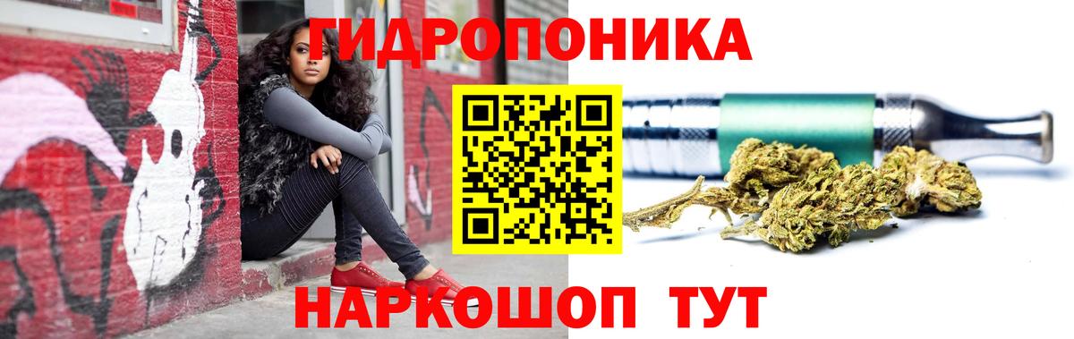 Конопля планчик Дубна
